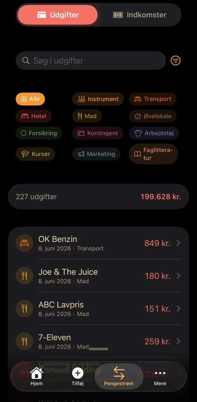 Pengestrøm: 227 udgifter på i alt 199.628 kr, filtreret per kategori med chips. Liste viser forretninger som OK Benzin, Joe & The Juice, ABC Lavpris og 7-Eleven