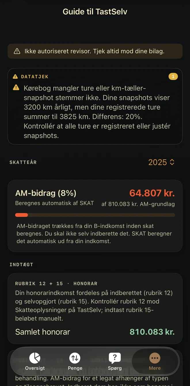 Guiden til TastSelv viser beregnede tal og rubrikforslag, som brugeren selv kontrollerer og indtaster